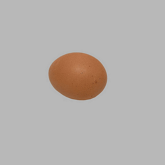 kippen ei voor decoratie leeg 60 mm 12 stuks