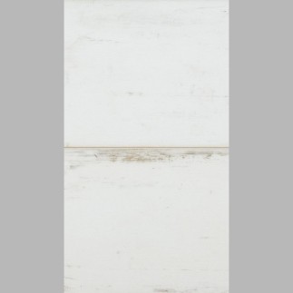 Painted oak 02 essentials 1200+ Coretec pvc flooring