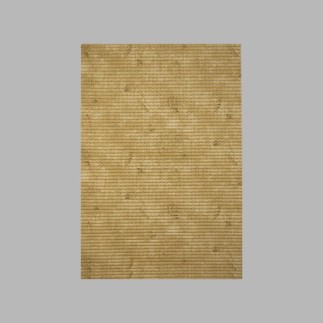 Tapis antidérapant 65 cm de large conception de coquilles