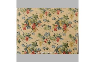 tissu avec la conception de raisin