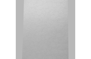 papier peint intissé dentelle dessin de fleurs blanc-brillant