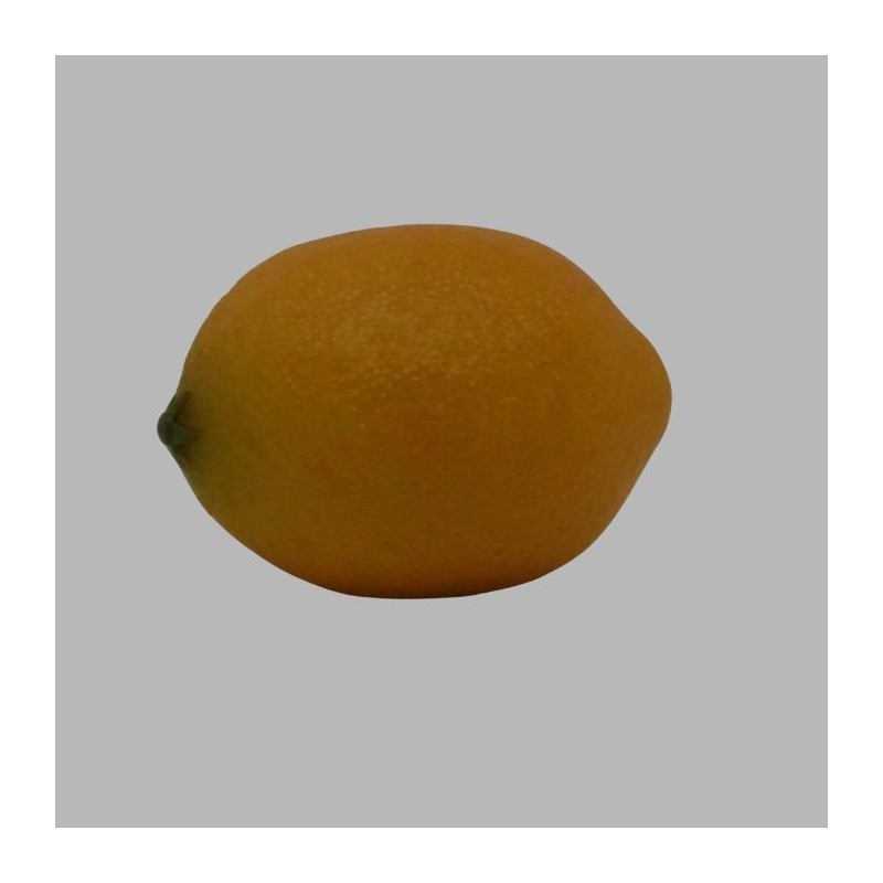 Realistische Kunstcitroen – Natuurlijke Look & Duurzaam