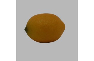 Realistische Kunstcitroen – Natuurlijke Look & Duurzaam