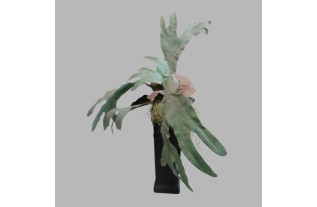 Staghorn fern in black vase