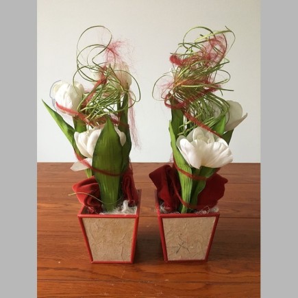 2 compositions florales avec des tulipes dans un plateau carré