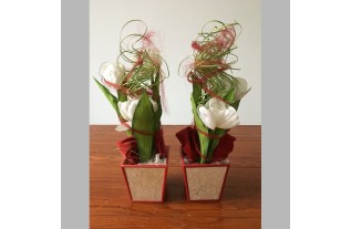 2 compositions florales avec des tulipes dans un plateau carré