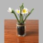 Bocal en verre avec des jonquilles blanches