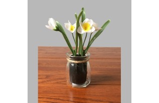 Bocal en verre avec des jonquilles blanches