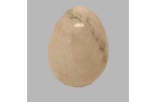 oeufs de marbre pour décoration couleurs uniques poli 75 mm