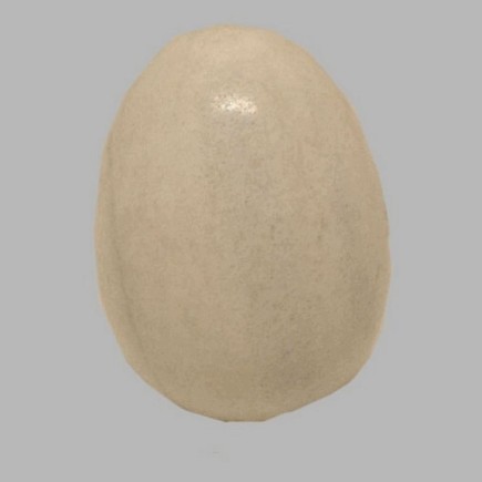 eieren van marmer decoratie unieke kleuren gepolijst 75 mm