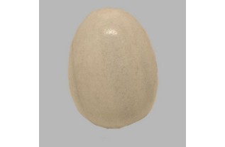 oeufs de marbre pour décoration couleurs uniques poli 75 mm