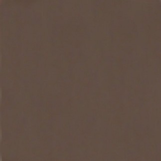 Muurverf Umber Brown - Aards & Donker