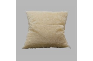 coussin à  l'intérieur 50 x 50 cm