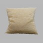 coussin à  l'intérieur 60 x 60 cm