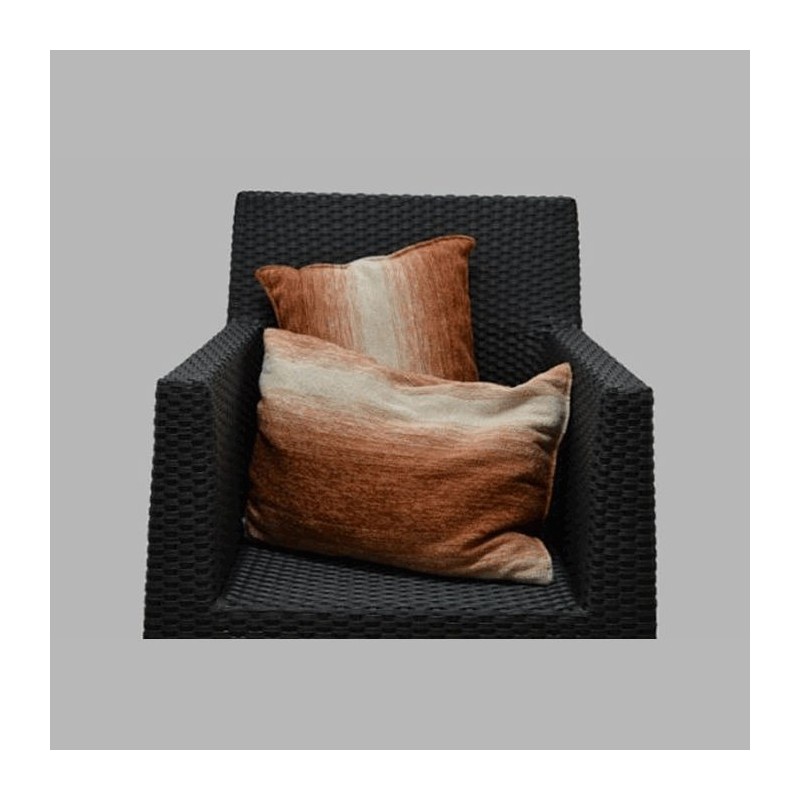 2 Oreiller creme vieux rouge