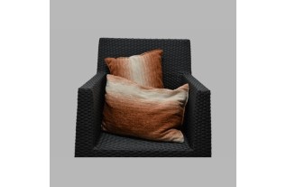2 Oreiller creme vieux rouge