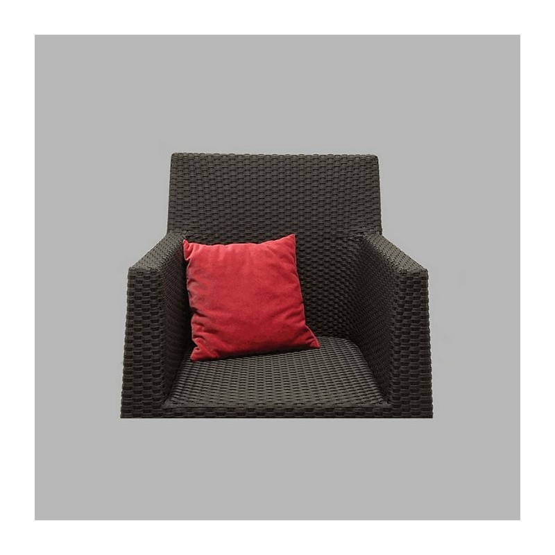 coussin de velours roge