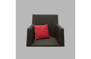 coussin de velours roge