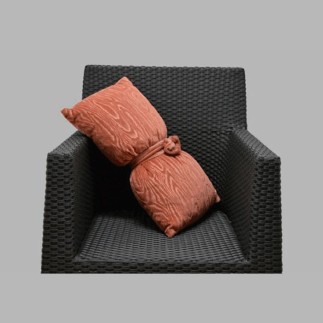cushion velvet rose fantasy