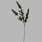 Flower of silk dark green grain-like plant 65 cm long