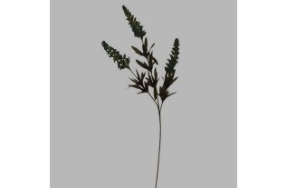 Flower of silk dark green grain-like plant 65 cm long