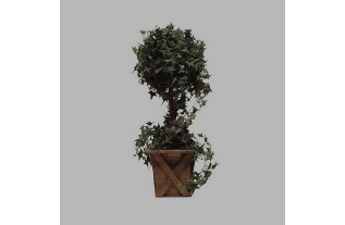Ivy tree in wooden box (23 x 23 cm ) height 75 cm