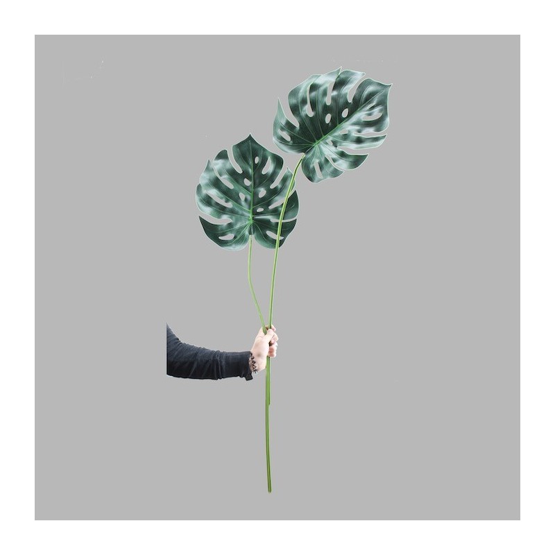 2 feuilles de monstera  longueur