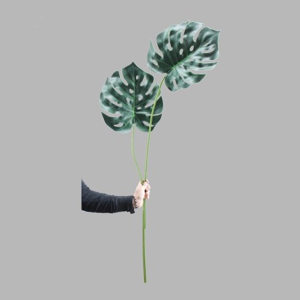 2 monstera bladeren lengte 30 cm
