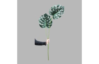 2 feuilles de monstera  longueur
