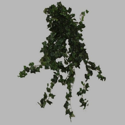 klimop plant van zijde donker groen 80 lang