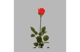 rose of silk color red length 90 cm