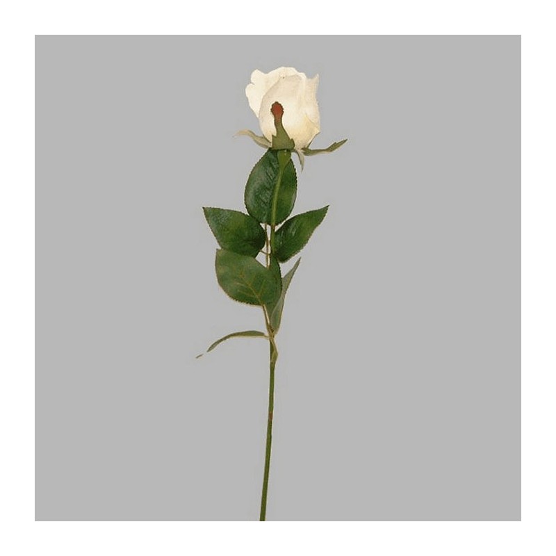 rose of silk color white length 60 cm