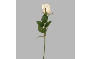 rose of silk color white length 60 cm