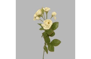 rose of silk per bunch color white length 80 cm