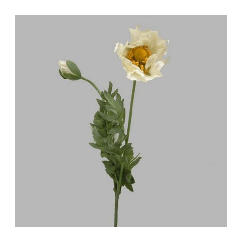 poppy with leaf color white length 75 cm