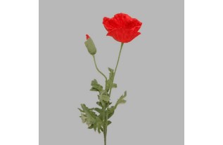 poppy with leaves color red length 75 cm