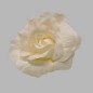 Rose of silk with clip color white 11 cm 2 pcs
