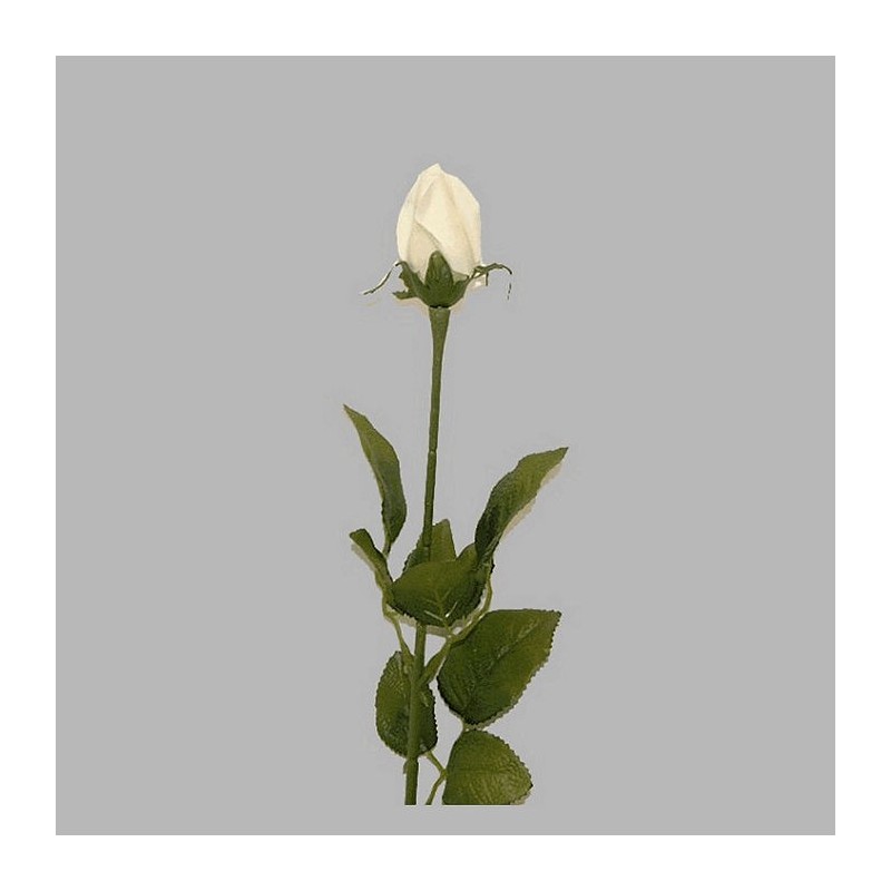 rose de soie couleur blanche longueur 75 cm rose de soie couleur blanche longueur 75 cm