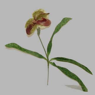 Orchidee met blad kleur roodbruin lengte 45 cm