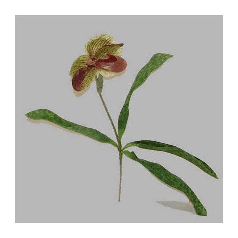 Orchidee met blad kleur roodbruin lengte 45 cm