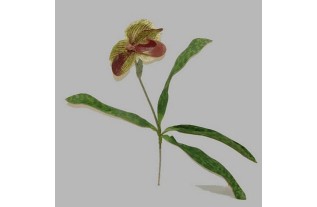 Orchidee met blad kleur roodbruin lengte 45 cm