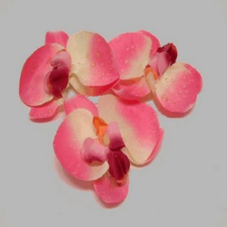 orchidee bloem(3 stuks) kleur roze 10 cm