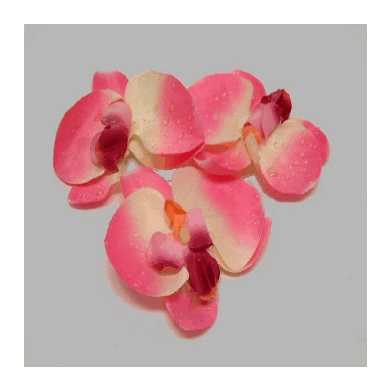 orchidee bloem(3 stuks) kleur roze 10 cm