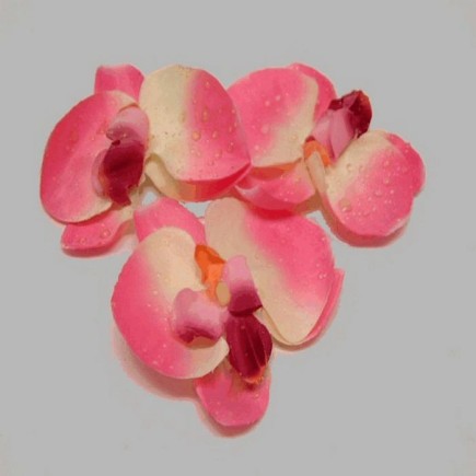 orchidee bloem(3 stuks) kleur roze 10 cm