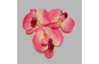 orchidee bloem(3 stuks) kleur roze 10 cm