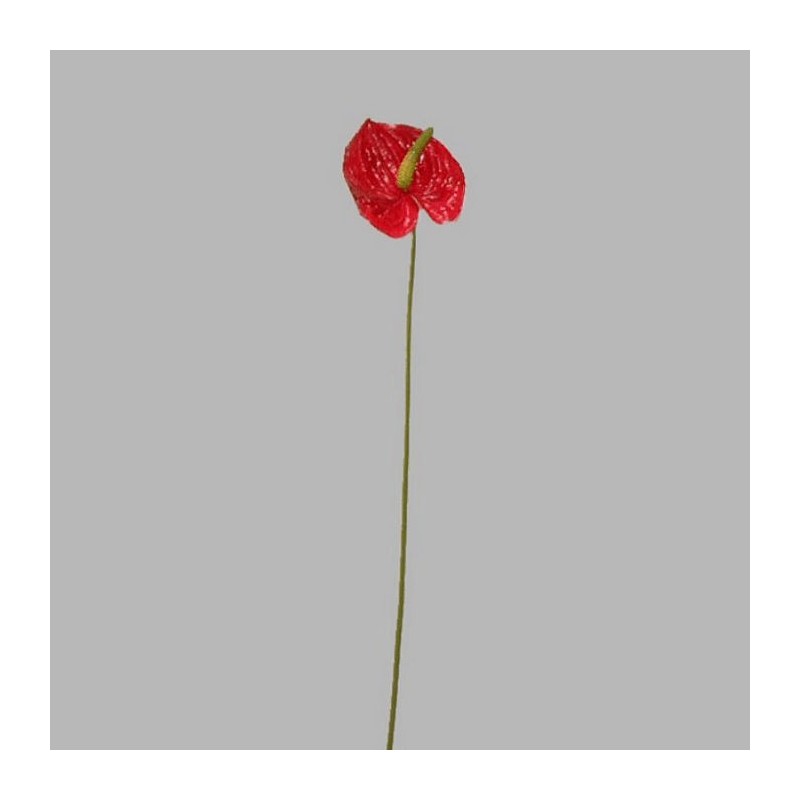 anthurium klein kleur rood lengte 45 cm