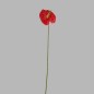 anthurium klein kleur rood lengte 45 cm