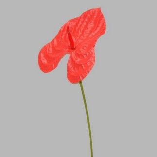 anthurium van zijde kleur rood-lengte 80 cm
