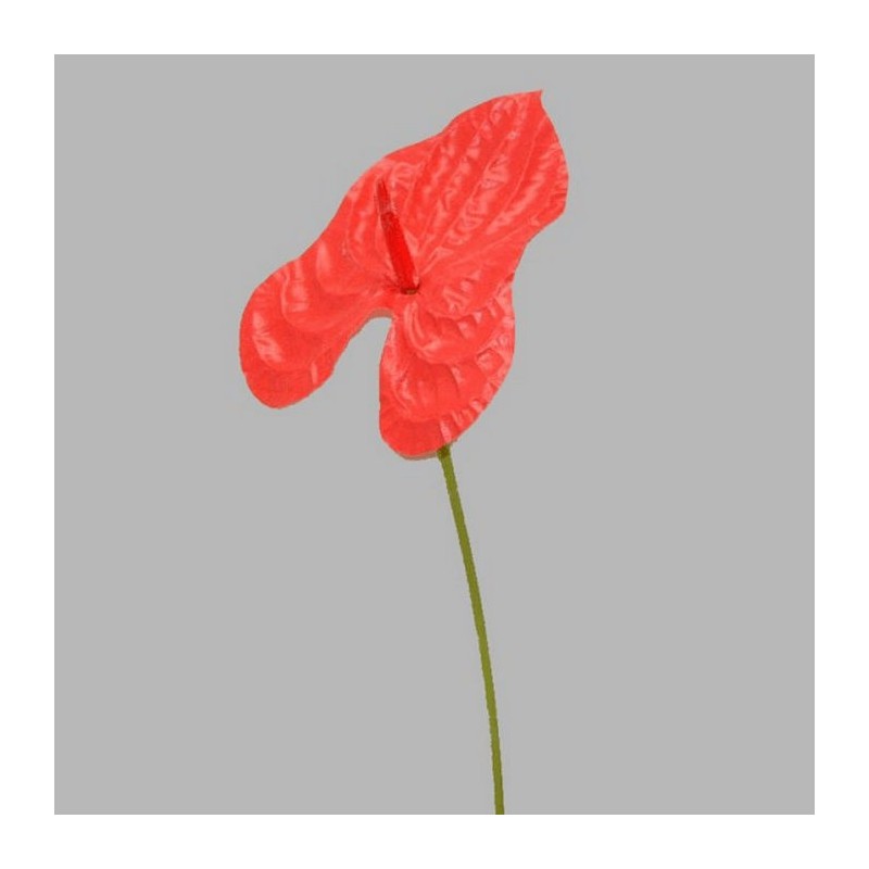 anthurium de soie couleur rouge longueur 80 cm