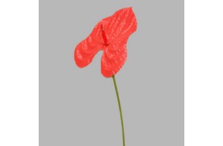 anthurium de soie couleur rouge longueur 80 cm